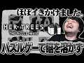 解けるとめちゃくちゃ気持ち良いパズルゲームをプレイするk4sen【HER TREES : THE PUZZLE HOUSE】