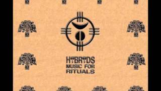 HYBRYDS - Dark Ages