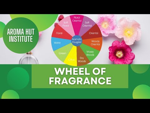 How to Build a Vertical Perfume Blend (And Why Ratios Matter More Than You Think)