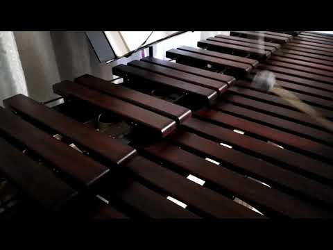 Inni di lode N°214: O Gesù, del ciel la via Marimba Cover