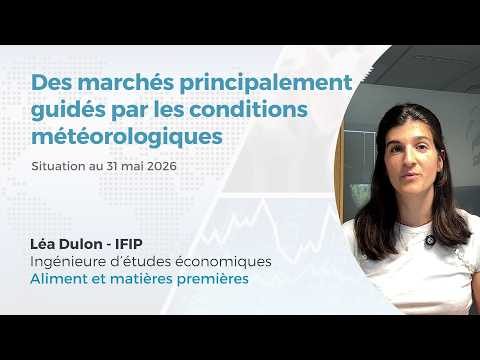 Marchés des matières premières ... guidés par la météo