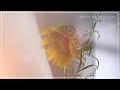 Maudy Ayunda - Alasan Untuk Bahagia (Video Lirik)