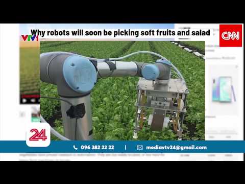Mỹ: Robot sẽ sớm thay thế con người trên đồng? | VTV24