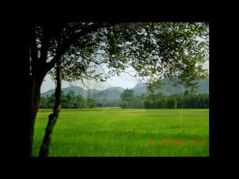 XOMOY JEN THOMOKI ROI - Zubeen Garg Assamese song