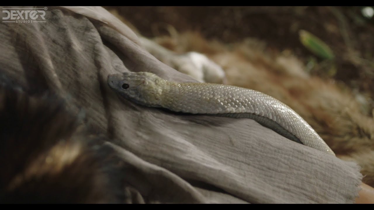 ‘아스달 연대기’ VFX 쇼릴