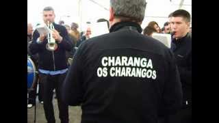 preview picture of video 'OS CHARANGOS EN FRIOL'
