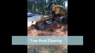 preview picture of video 'Tree Stump Removal Conyers | Stump Grinding | Remove | M & M Total Tree'