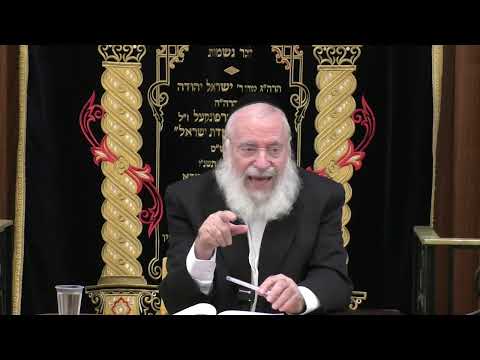 Mitzvas Tefillah | Weekly Shiur by Rav Asher Weiss Shlit"a (Parshas Vayeitzei 5786)