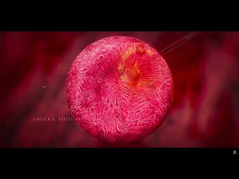 CutBrainKeno ~ Soulless (Prod. Soulless)