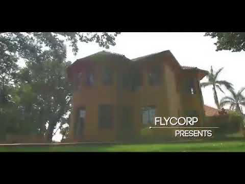 Naava Grey - AliB'omu