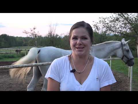 What it's like to be a trainer and coach in equestrian skills - the story of one Silvia from Poland