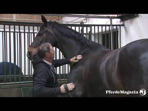 Zu Besuch bei Christoph Ackermann - Schüler von Egon von Neindorff