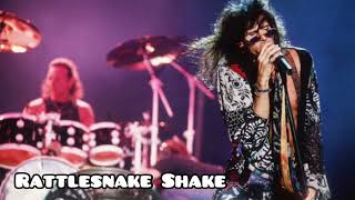 Aerosmith - Rattlesnake Shake - Tokyo 10/05/1994