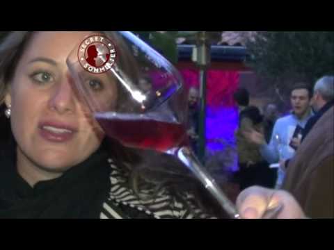 Alison Smith Marriott - Bon Vivant DC tasting Bouzy Rouge in #Champagne