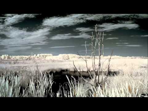 Rumpistol / Red Baron - Anywhere (ISAN Remix)