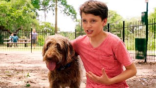 Трейлер: Думай как собака