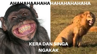 Download lagu SINGA DAN KERA NGAKAK (DUBBING VIDEO HEWAN LUCU ABIS BIKIN NGAKAK) mp3