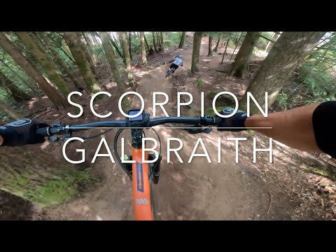 Scorpion - Galbraith Mountain - Bellingham, Washington