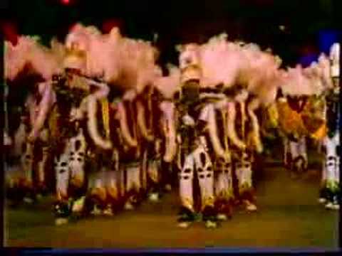 Fralinger String Band 1982 ( 2nd Prize )