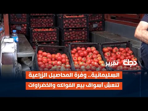 فيديو | السليمانية.. وفرة المحاصيل الزراعية تنعش أسواق بيع الفواكه والخضراوات