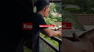 Download lagu CAFE UNIK ALA JOGJA KOPI KONENG ‼ wisata sentul mp3 Download lagu CAFE UNIK ALA JOGJA KOPI KONENG ‼ wisata sentul mp3