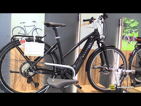 Wanderer e-Tourer I-12 Edition Electric Bike Walkaround Tour - 2020 Model