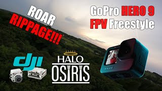 ROAR Rippage - GoPro Hero9 Hypersmooth 3.0 4K30 - FPV Freestyle - HaloRC Osiris