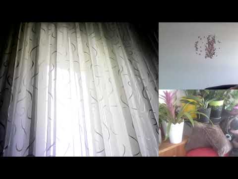 Hipn regresiva 283 Florin acordurile si colaborarea greutatea intelegerii C si A Moraru