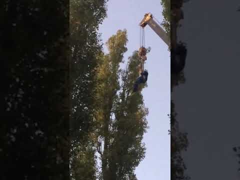 Спасение котика в Воронеже