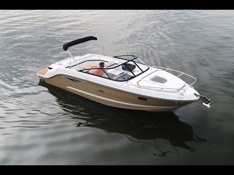 Video van Sea Ray Sun Sport 250