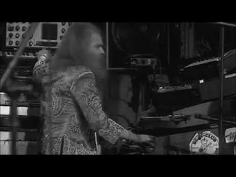 Birdcorps - Rick Van Der Linden