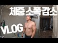 직장인 vlog, 체중 감량, 그리고 등운동 완료!│윈터슈레딩 Ep05