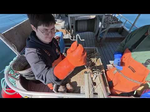 Halibut Fishing in Kodiak Alaska! - 2025 Halibut Season