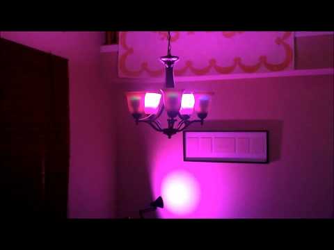 Music Blitz for LIFX Video