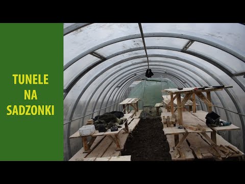 Tunel na sadzonki pomidora, papryki, itp. Oraz ogrzewanie z kompostu w tunelu.