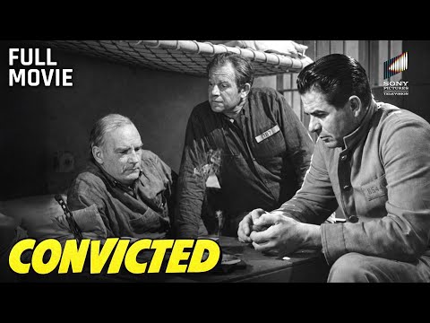 Convicted | Full Movie | Starring Glenn Ford, Broderick Crawford & Dorothy Malone
