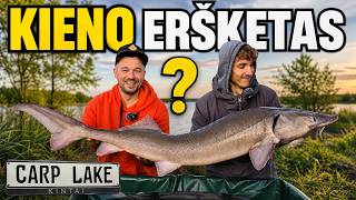 Pagavome MILŽINĄ ERŠKETĄ – bet kieno jis? | Carp Lake Kintai