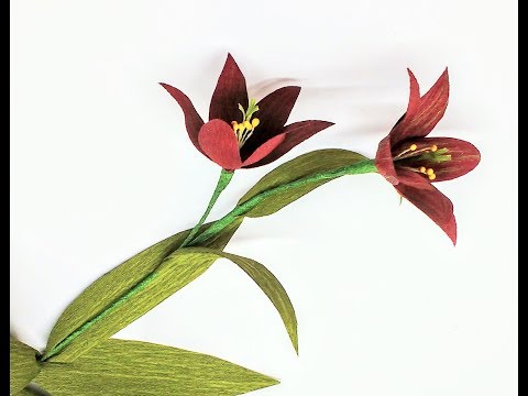 How to make Crepe Paper Flowers Chocolate Lily / Fritillaria (flowers # 250)