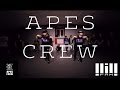 Olya Zaharova & Masha Tsoy // APES CREW // The Procussions - Track 10
