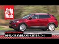 Achteruitkijkspiegel - Opel Grandland X Hybrid4