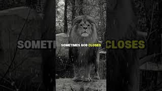Download lagu Do Not Confuse This mp3