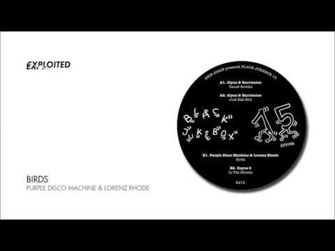 Purple Disco Machine & Lorenz Rhode - Birds | Exploited