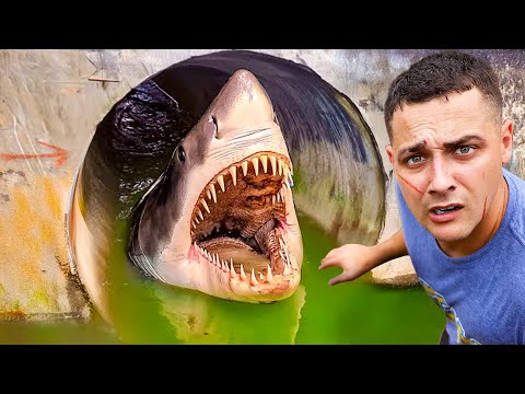 I CAUGHT THE BRIDGE MONSTER