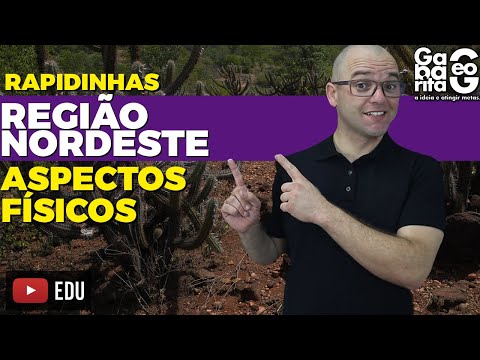 Região Nordeste - Características Físicas - Geografia | Rapidinhas