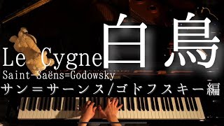 Download lagu 【解説付】サン=サーンス「白鳥」(ゴドフスキー編) /Saint-Saëns=Godowsky Le Cygne mp3 Download lagu 【解説付】サン=サーンス「白鳥」(ゴドフスキー編) /Saint-Saëns=Godowsky Le Cygne mp3