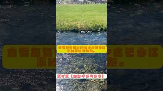 #スイス旅行 #エンゲルベルク #世界の絶景 #ヨーロッパ旅 #旅したくなるフォト #鴨のいる風景 #マイナスイオン #海外旅行好きな人と繋がりたい #engelberg #switzerland