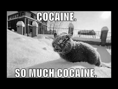 WZG - WARIACKIE BALETY