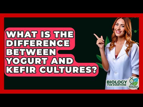 What Is The Difference Between Yogurt And Kefir Cultures? - Biology For Everyone