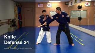 Hapkido Knife Defense 24. - Grand Master Moo Young Kang