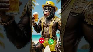 Download lagu Monkey calling you mp3 Download lagu Monkey calling you mp3